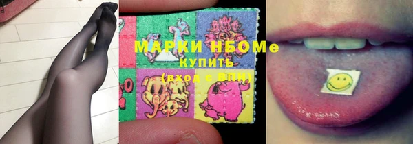 шишки Баксан
