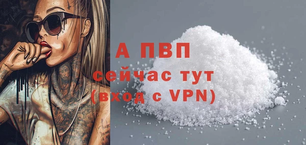 шишки Баксан