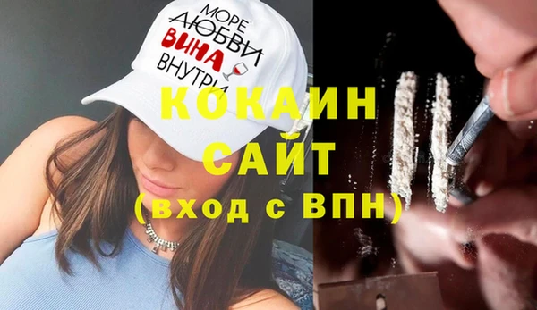 шишки Баксан