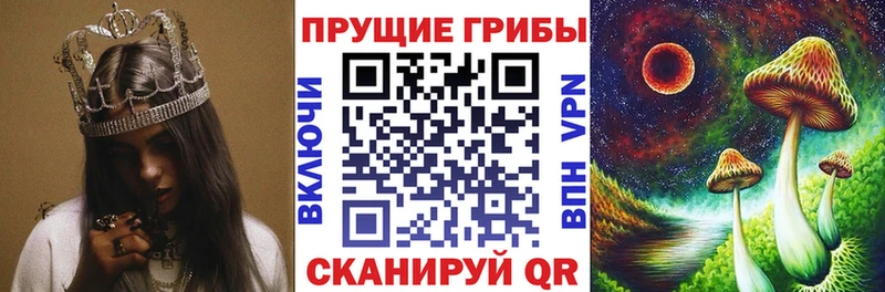 где найти   Салават  Галлюциногенные грибы прущие грибы 